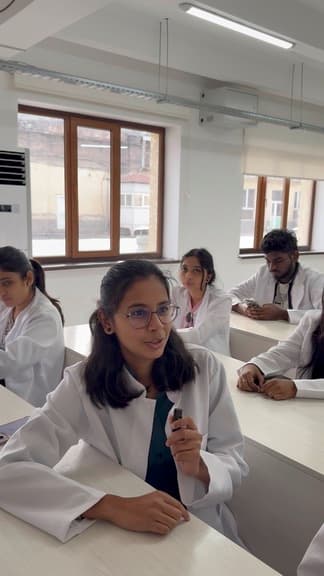 001 664e056f 7034 47b1 935b 96a7f21c3667 4 5005 c